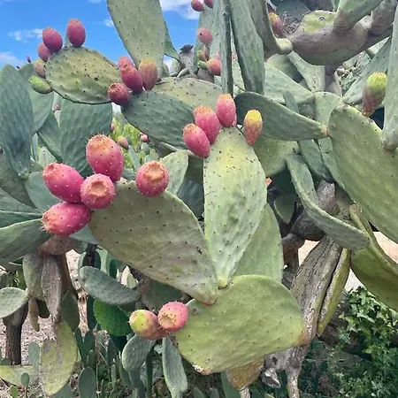 Trullo Bubamare Дом отдыха Сан-Микеле-Салентин