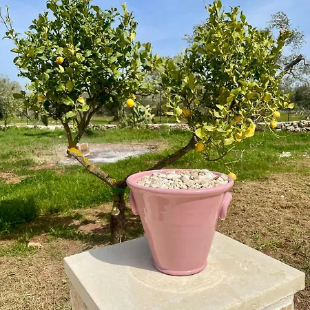 Trullo Bubamare Дом отдыха